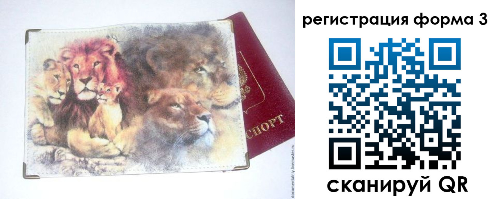 прописка в квартире в Нелидово